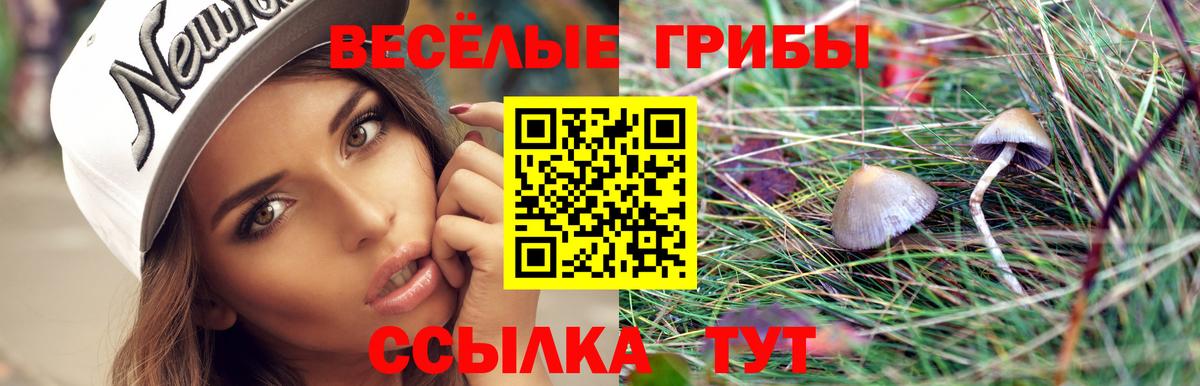Клин  наркошоп  Вход с VPN  Псилоцибиновые грибы MAGIC MUSHROOMS 